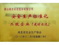 安全生產(chǎn)標(biāo)準(zhǔn)化二級(jí)企業(yè)（建材水泥）/